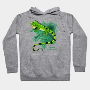 Iguana Hoodie